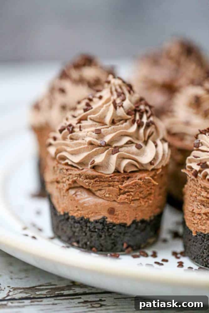 Decadent Triple Chocolate Cheesecakes 5 Various angles of no-bake mini chocolate cheesecakes with toppings