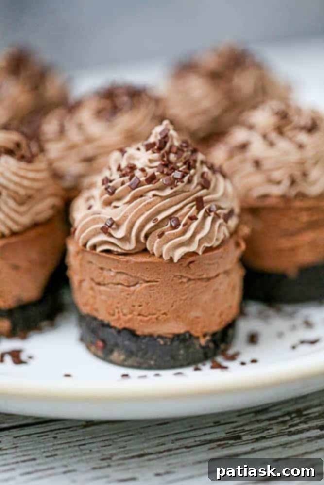 Decadent Triple Chocolate Cheesecakes 6 Side view of a no-bake chocolate cheesecake slice with rich layers