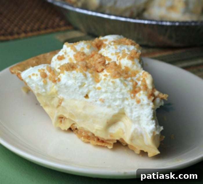 Amish Peanut Butter Dream Pie 2 slice of Amish Peanut Butter Cream Pie