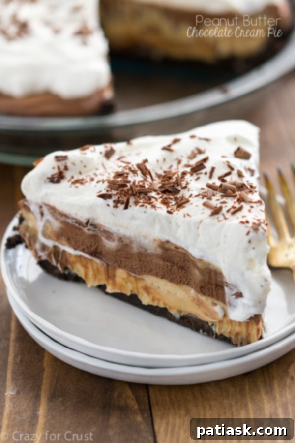 No Bake Peanut Butter Chocolate @ Crazy for Crust delicious pie recipes