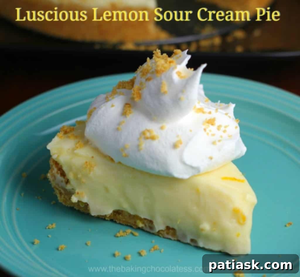Luscious Lemon Sour Cream Pie! @ The Baking ChocolaTess e