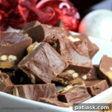 Sweet and Salty Rolo Reese's Pretzel Fudge 6 Rolo Reeses PB Pretzel Fudge