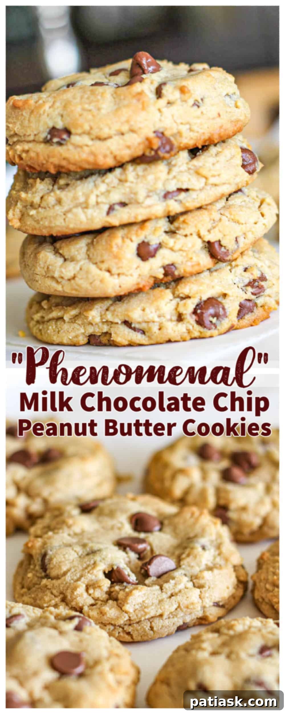 Indulgent Thick Milk Chocolate Chip Peanut Butter Cookies 11 Variety of delicious baked treats with peanut butter and chocolate
