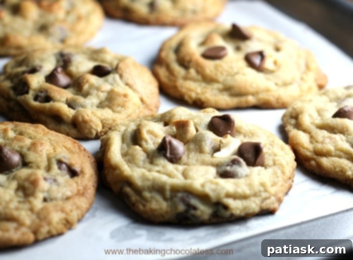 Gourmet Milk Chocolate Cashew Cookies 2 A tray of freshly baked, thick and chewy milk chocolate cashew cookies