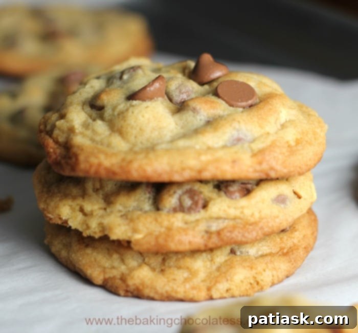 Gourmet Milk Chocolate Cashew Cookies 3 Close-up of chocolate chip cookies with cashews on a cooling rack, highlighting their thick texture and visible cashews and chocolate chips