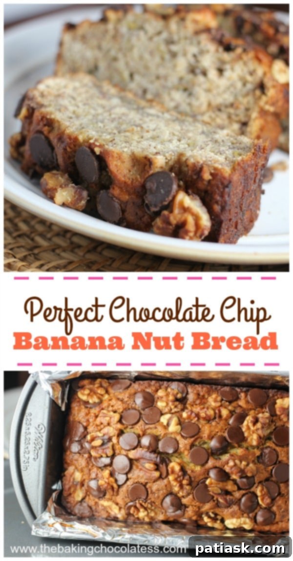 Irresistible Chocolate Chip Banana Nut Bread 7 Perfect Chocolate Chip Banana Nut Bread
