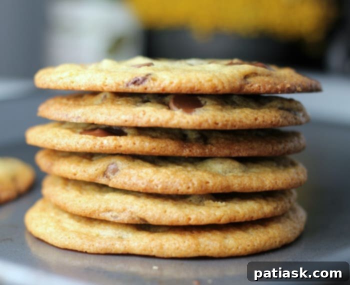 Perfect Thin & Crispy Chocolate Chip Cookies on a plate