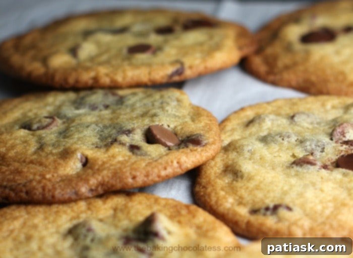 Perfect Thin & Crispy Chocolate Chip Cookies close-up