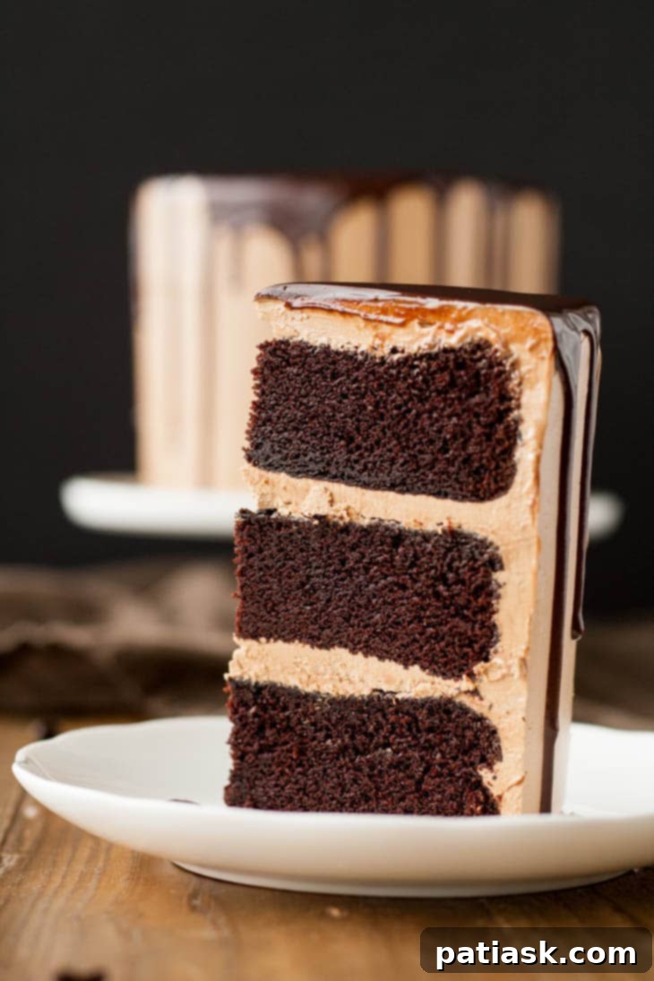 Chocolate Mocha Cake - luxurious, rich, and sophisticated dessert