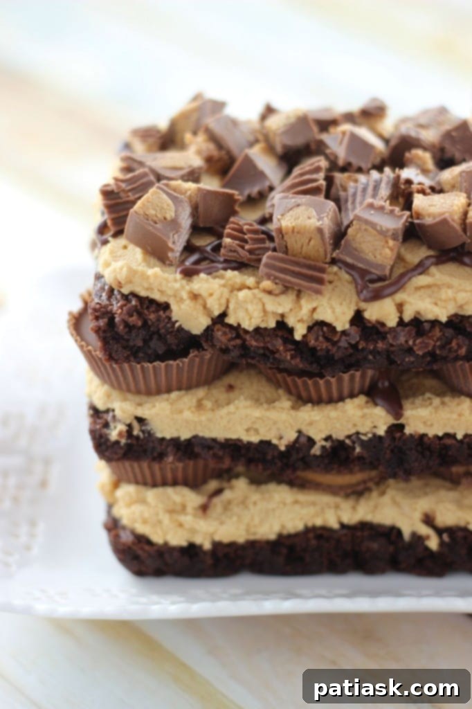 Peanut Butter Cup Brownie Torte - a decadent chocolate and peanut butter dessert