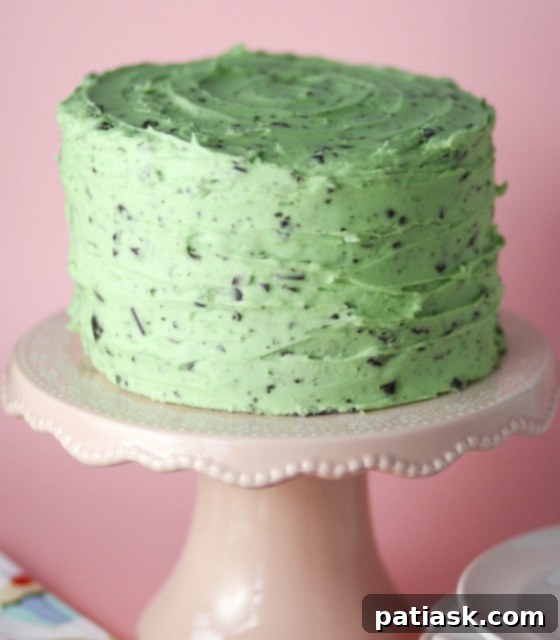 Mint Chocolate Chip Cake - luscious and refreshing dessert