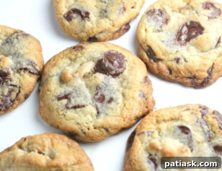 chocolatewalnutcookies1