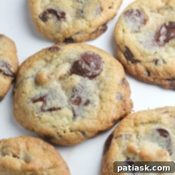 Ultimate Dark Chocolate Chip Toffee Walnut Cookies
