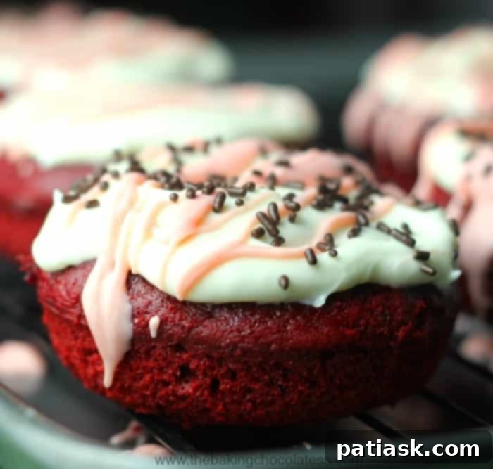 Decadent Red Velvet Donuts 2 Red Velvet Cake Donuts with Cream Cheese Frosting - a decadent treat perfect for any celebration.