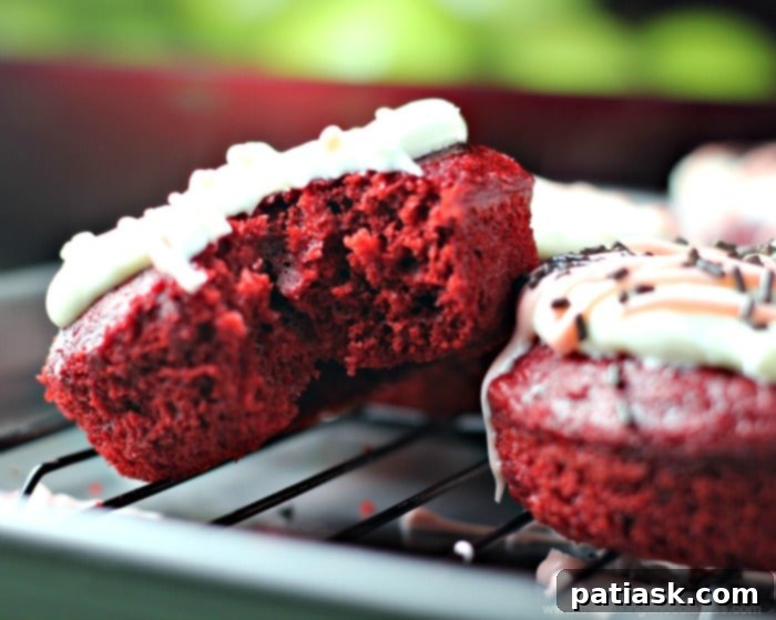Decadent Red Velvet Donuts 3 Close-up of baked Red Velvet Cake Donuts, showcasing their moist texture and vibrant color.