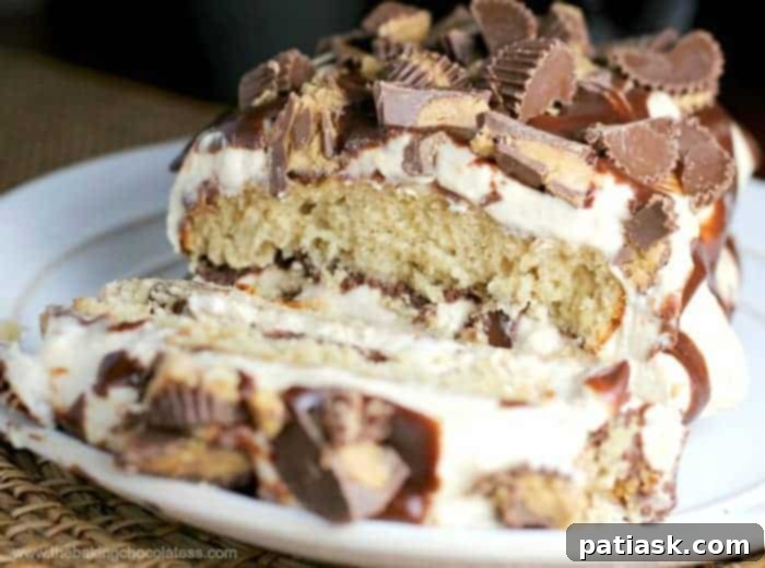 Decadent Peanut Butter Cup Chocolate Loaf Cake 2 Ultimate Chocolate Peanut Butter Explosion Cake