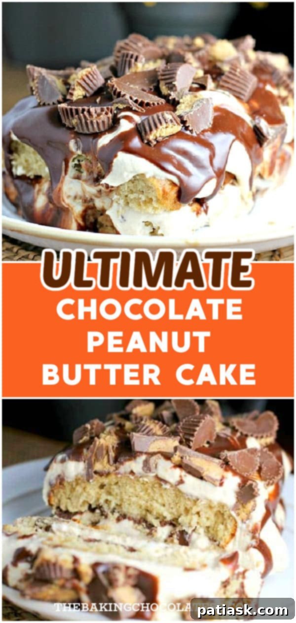 Decadent Peanut Butter Cup Chocolate Loaf Cake 9 Ultimate Chocolate Peanut Butter Cake