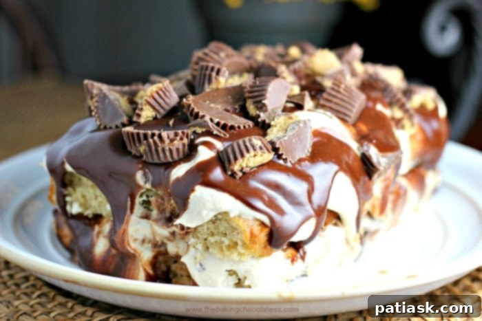 Decadent Peanut Butter Cup Chocolate Loaf Cake 3 Ultimate Chocolate Peanut Butter Explosion Cake
