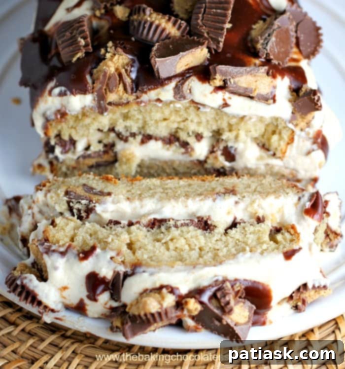 Decadent Peanut Butter Cup Chocolate Loaf Cake 4 chocolatepeanutbuttercakeloafddd