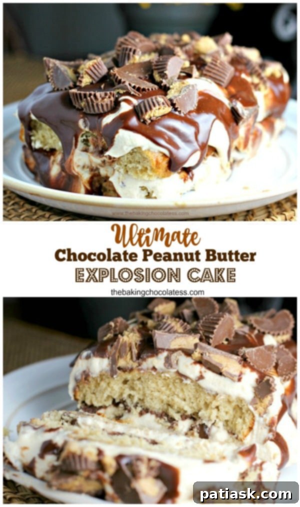 Decadent Peanut Butter Cup Chocolate Loaf Cake 6 Ultimate Chocolate Peanut Butter Explosion Cake