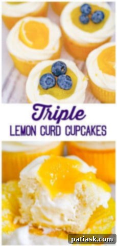 Ultimate Triple Lemon Cupcakes 12 Triple Lemon Curd Cupcake