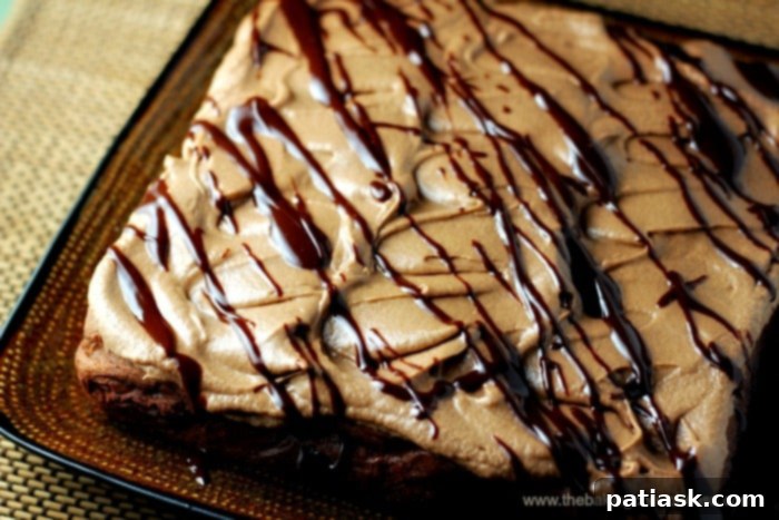 Mascarpone-Swirled Double Chocolate Brownies 5 Double Chocolate Mascarpone Brownies with extra chocolate