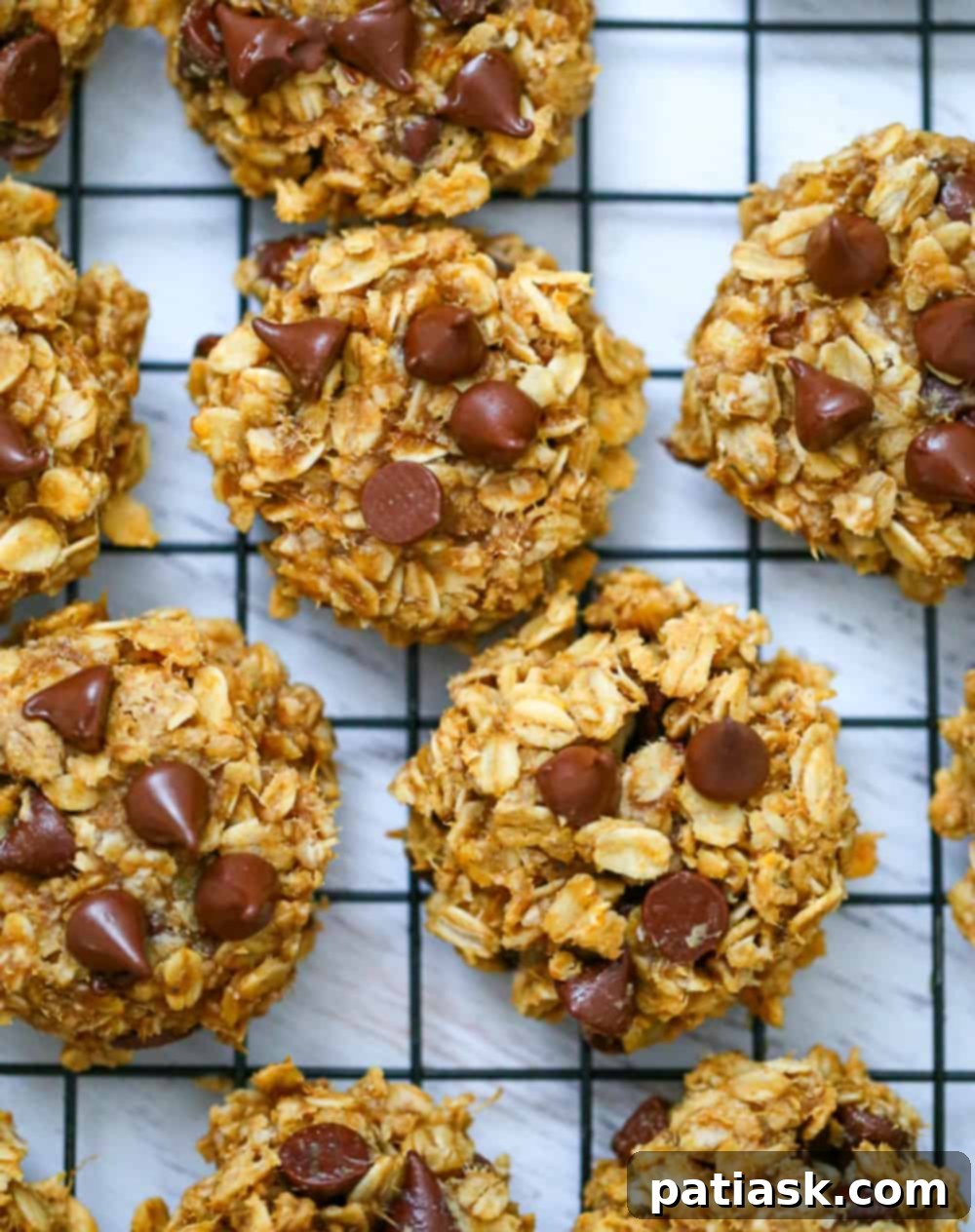 Golden Goodness: 25 Ripe Banana Recipes to Crave 15 Flourless Peanut Butter Oat Chocolate Chip Cookies - 5 Ingredients