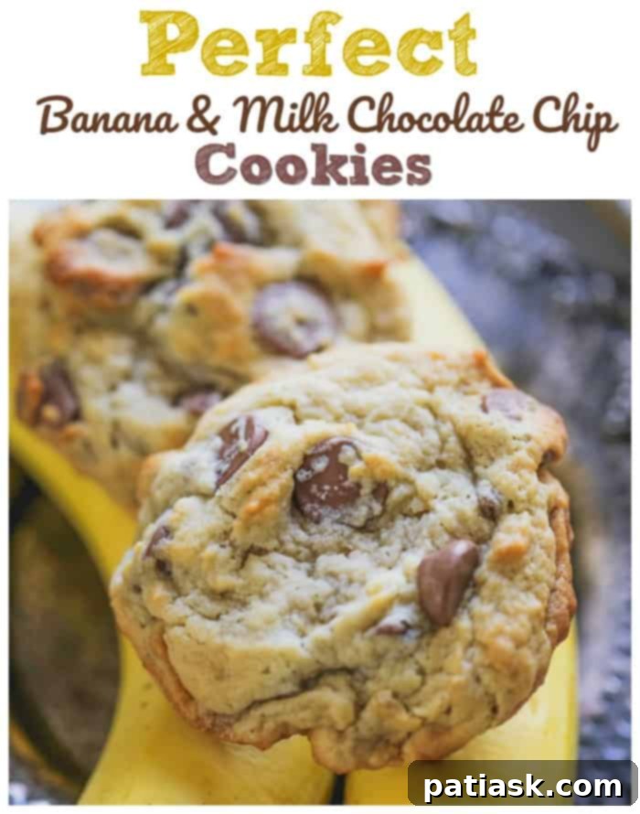 Golden Goodness: 25 Ripe Banana Recipes to Crave 16 Perfect Banana Milk Chocolate Chip Cookies