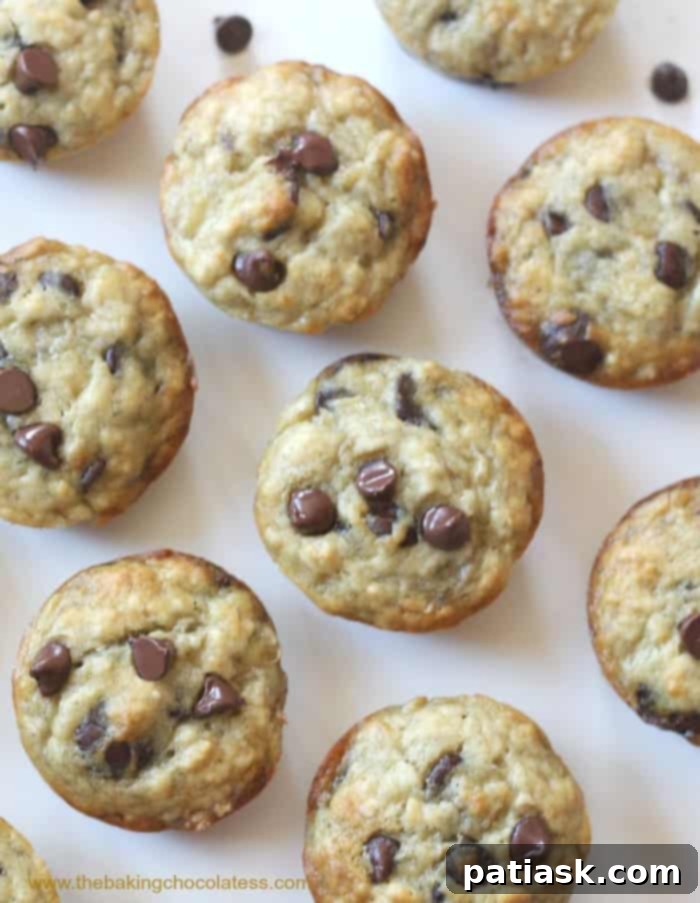 Golden Goodness: 25 Ripe Banana Recipes to Crave 29 Perfect Ripe Banana Chocolate Chip Muffins! Fluffy & Moist recipe