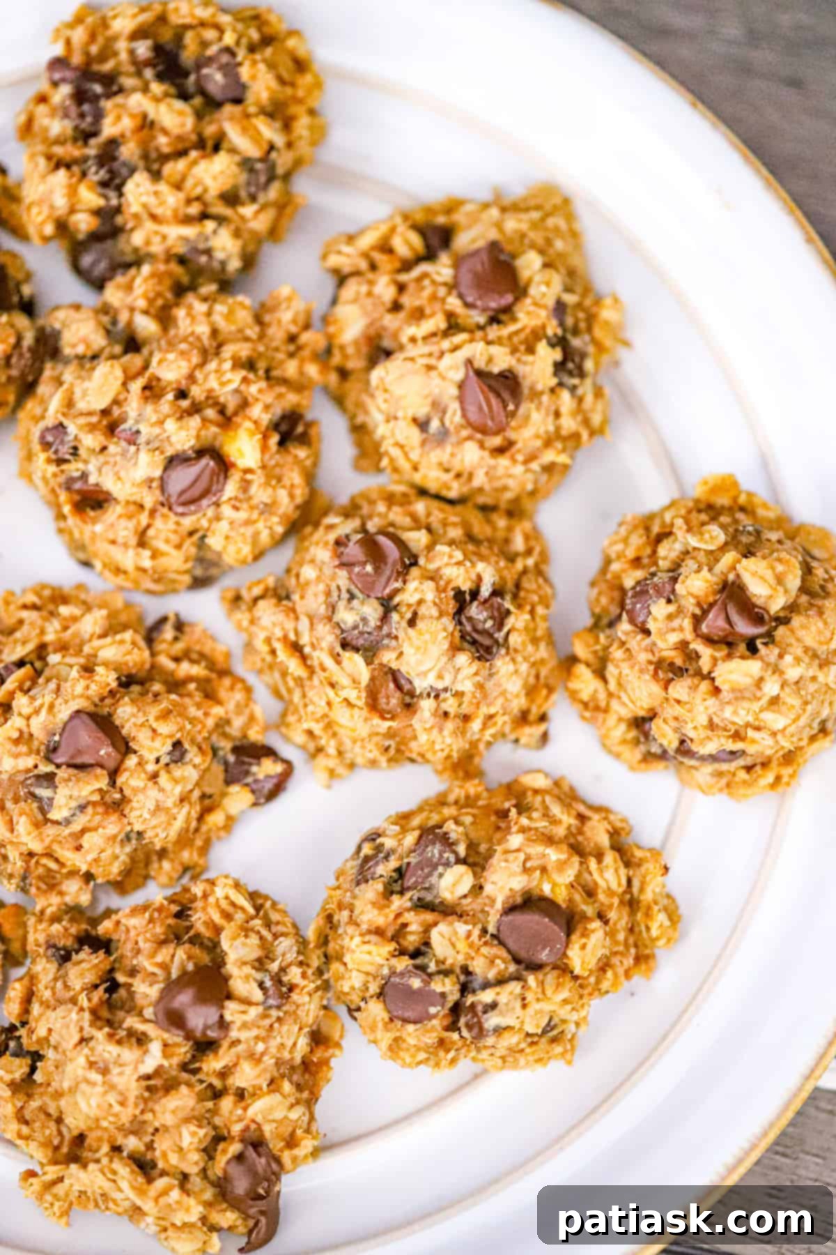 Golden Goodness: 25 Ripe Banana Recipes to Crave 10 Banana Oat Chocolate Chip Breakfast Cookies