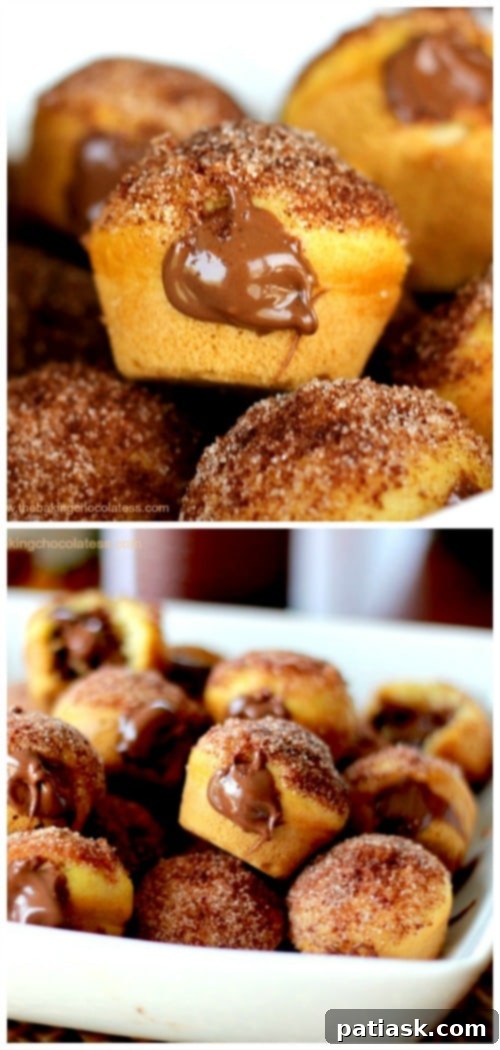 Nutella Churro Puffs 6 Nutella Churro Donut Poppers