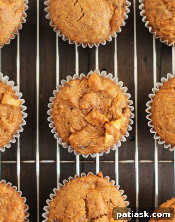 Healthy Vegan Gluten Free Morning Glory Muffins @ Delightful Adventures
