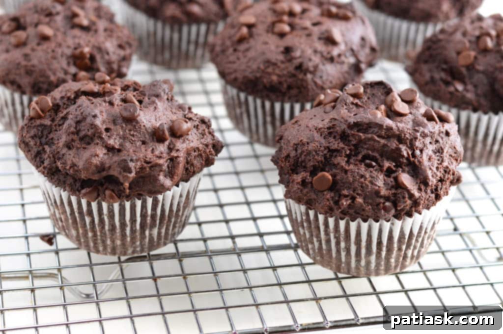 Bakery Style Double Chocolate Chip Muffins @ What the Fork Food Blog