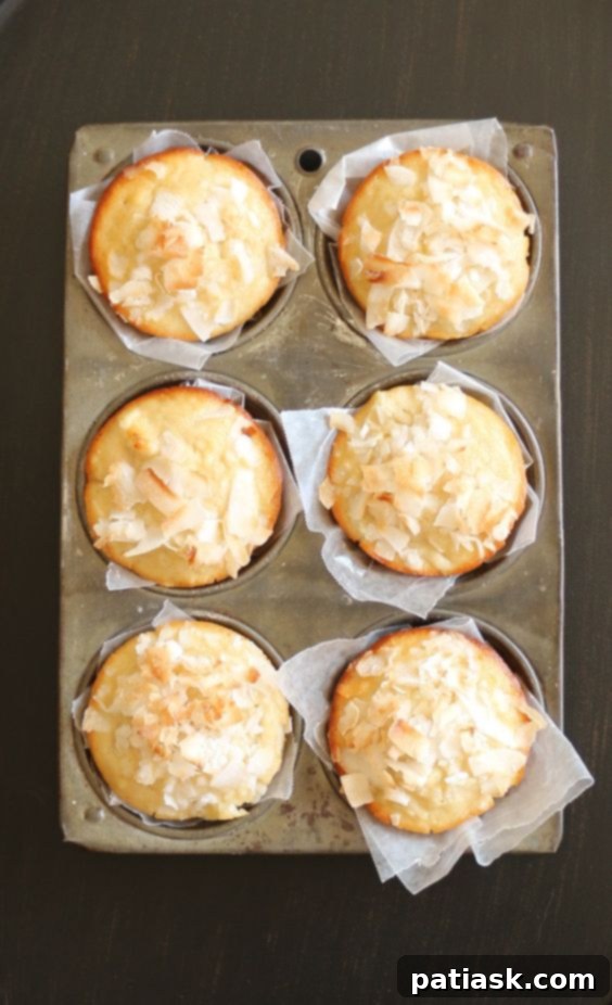 Pineapple Coconut Muffins @ Home to Heather