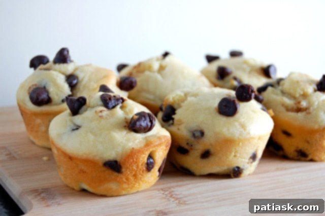 Gluten Free Chocolate Chip Muffins @ Em the Baker