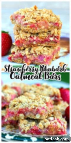 Rustic Strawberry Rhubarb Oat Squares 11 Awesome Strawberry Rhubarb Oatmeal Bars