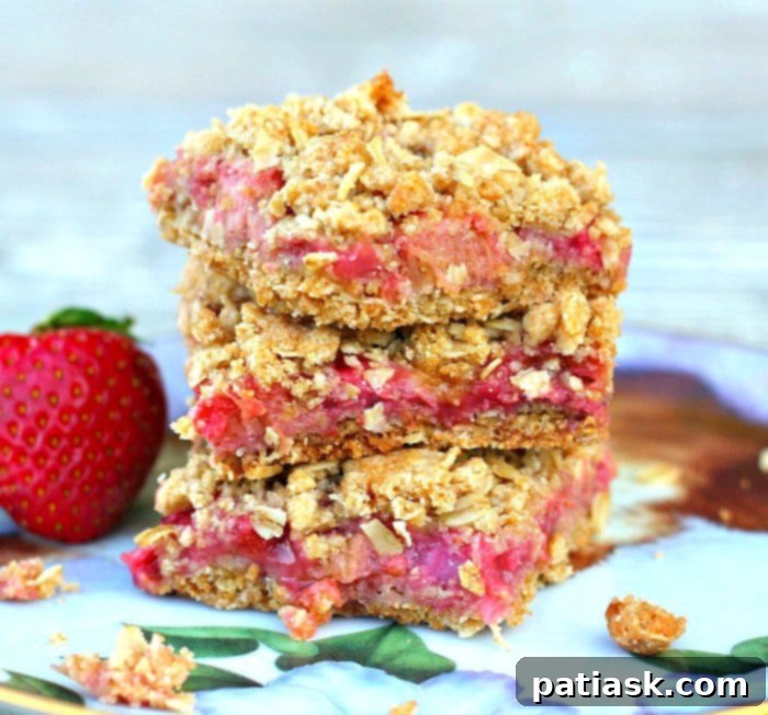 Rustic Strawberry Rhubarb Oat Squares 4 rhubarblllddsss