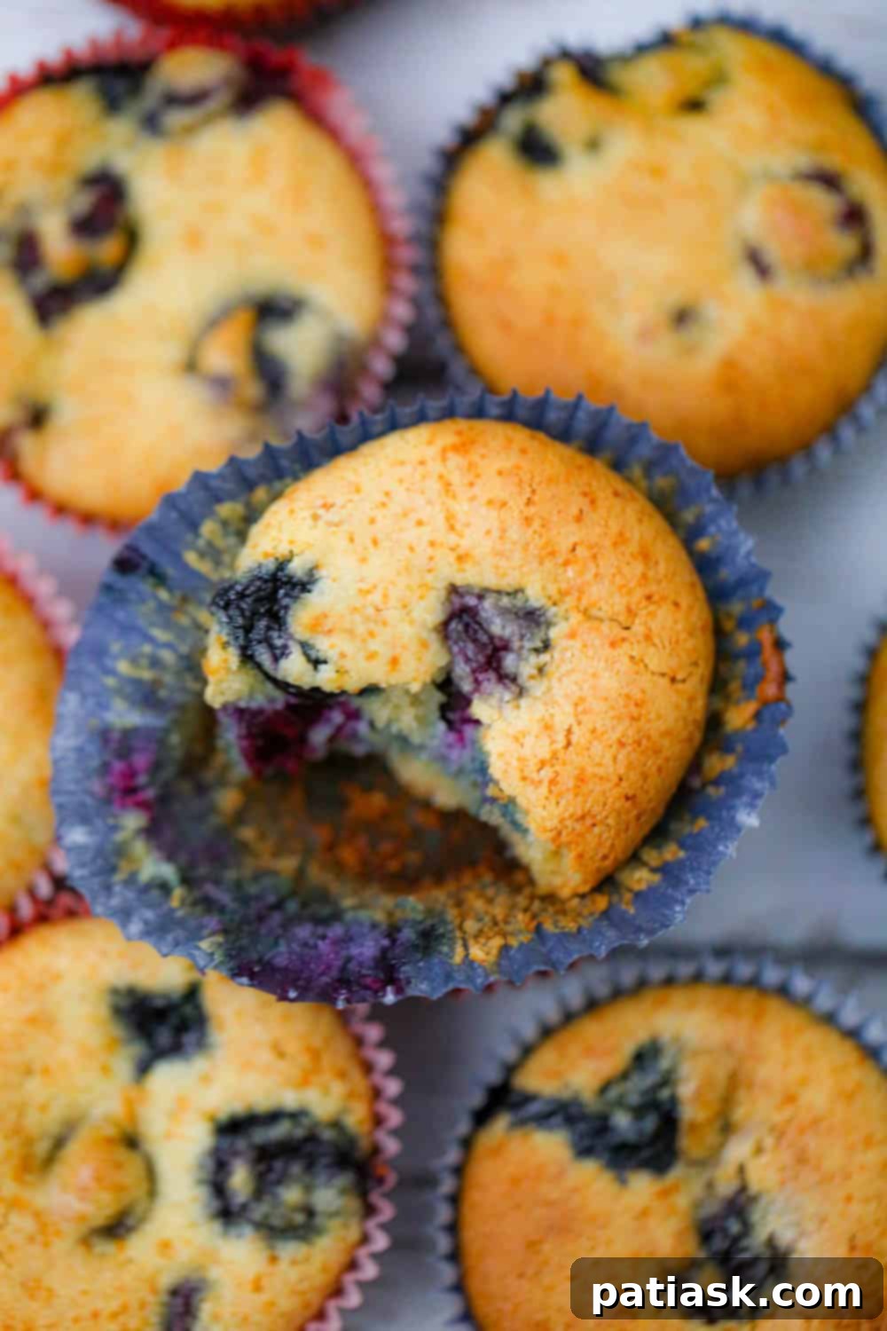 Healthy Whole Wheat Blueberry Muffins - Sugar Free & Vegan Options