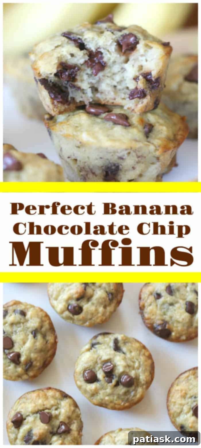 A single, delectable banana chocolate chip muffin with a bite taken out, revealing its soft texture.