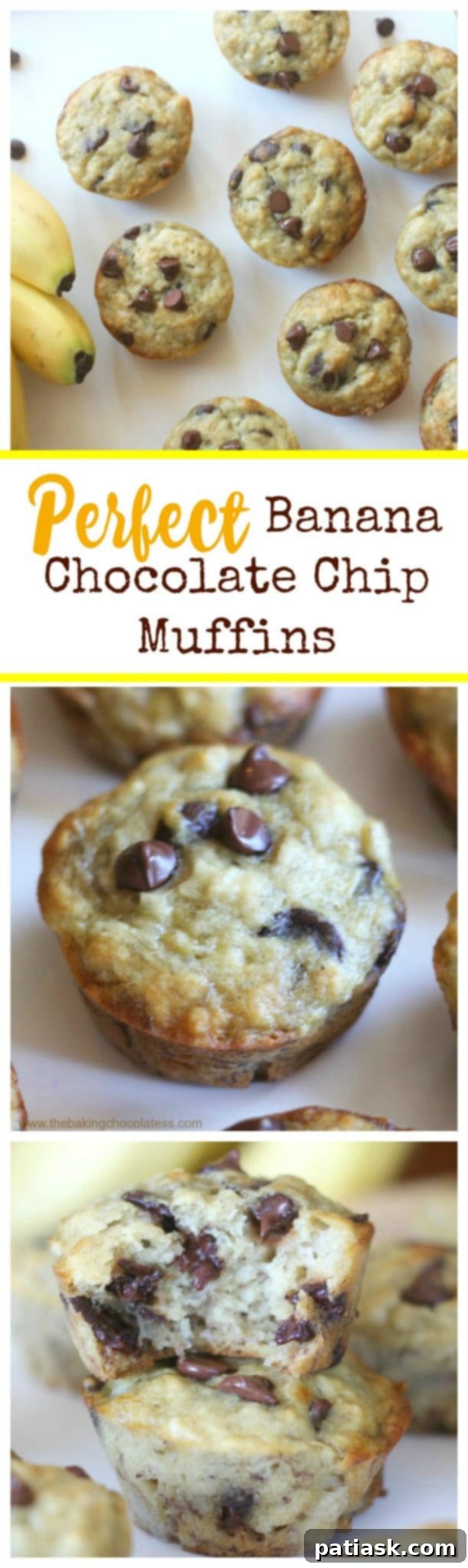 Collage of various enticing images of banana chocolate chip muffins, highlighting their fluffy and moist nature.