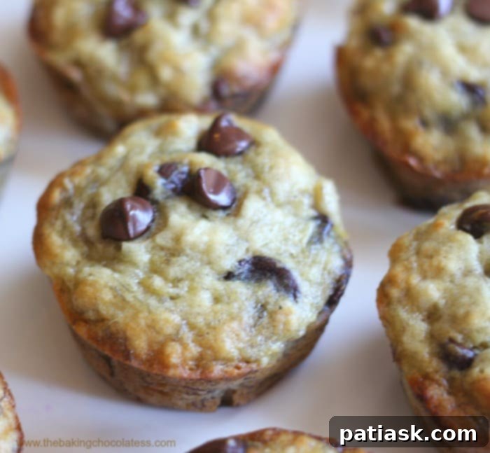 Plate of Freshly Baked Banana Chocolate Chip Muffins