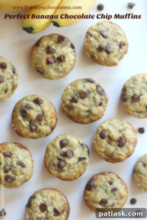 Assortment of Baked Banana Chocolate Chip Muffins