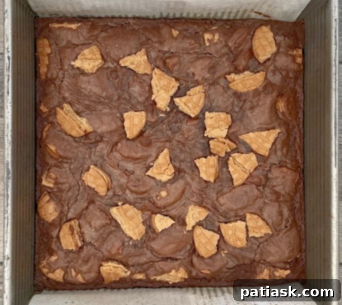 Nutter Butter Peanut Butter Brownie Bliss 6 Nutter Butter Peanut Butter Brownie Delight, showing cooled brownies in a pan