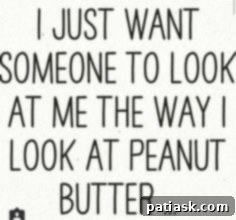 Nutter Butter Peanut Butter Brownie Bliss 11 A small image of a recipe logo or footer graphic