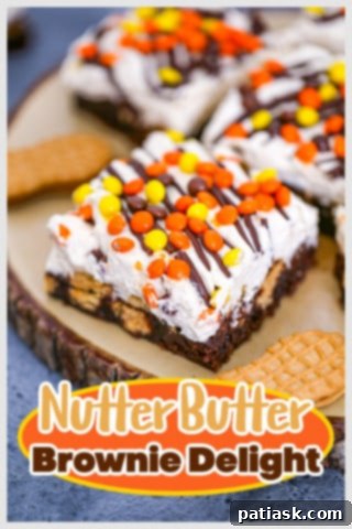 Nutter Butter Peanut Butter Brownie Bliss 12 Nutter Butter Peanut Butter Brownie Delight