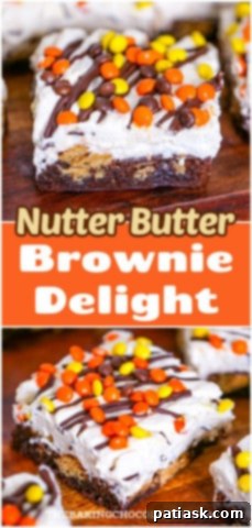 Nutter Butter Peanut Butter Brownie Bliss 13 Nutter Butter Peanut Butter Brownie Delight, a close up of a single serving