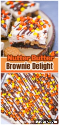 Nutter Butter Peanut Butter Brownie Bliss 15 Nutter Butter Peanut Butter Brownie Delight, a single piece on a plate
