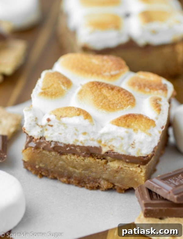 Next-Level Blondies: 10 Irresistibly Rich Recipes 2 Disappearing Reese's Marshmallow Chocolate Chip Blondies bar recipes