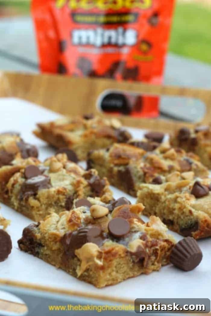 Next-Level Blondies: 10 Irresistibly Rich Recipes 3 Disappearing Reese's Marshmallow Chocolate Chip Blondies bars