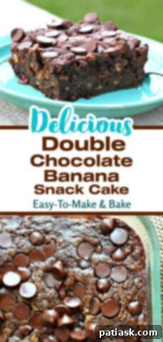 Chocolate Banana Bliss Cake 9 Double Chocolate Banana Snack Cake